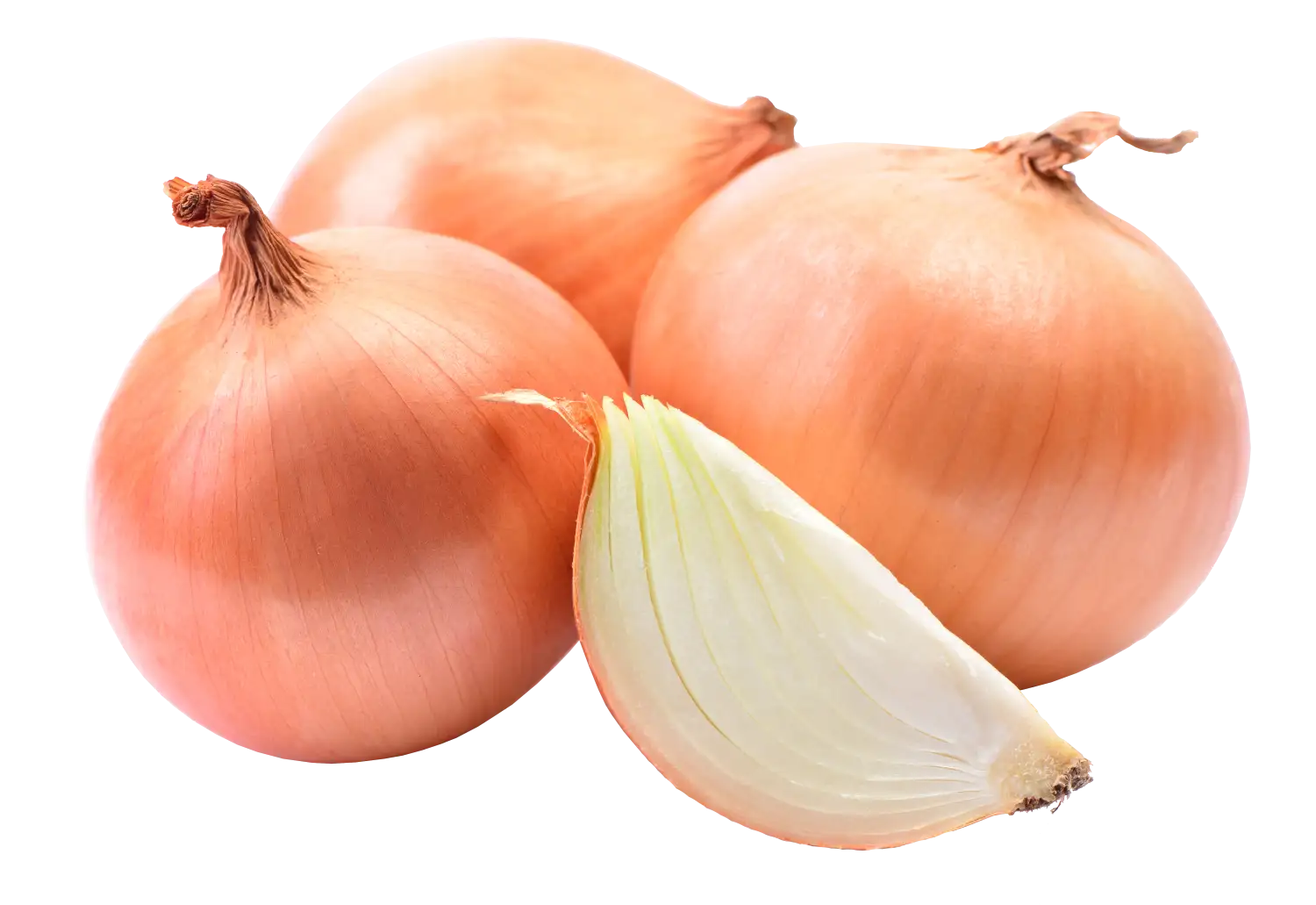 Oignons